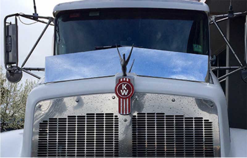 BUG DEFLECTOR KENWORTH T350 SERIES