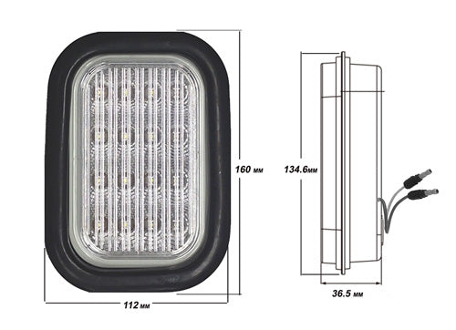 LUCIDITY RECTANGULAR REVERSE LED 12/24